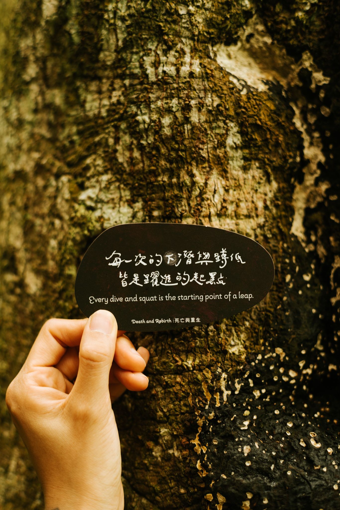大地的喜悅之籽・心靈牌卡